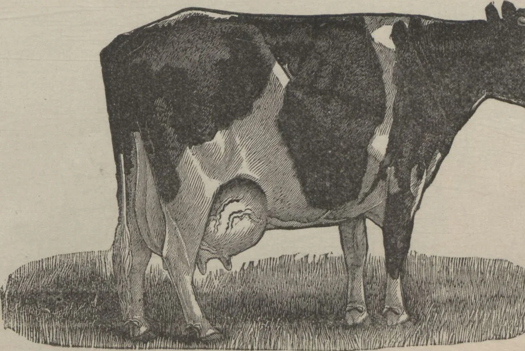 An illustration from Specimens of electrotype cuts, issued by Barnhart Bros. & Spindler, 1900, leaf 105