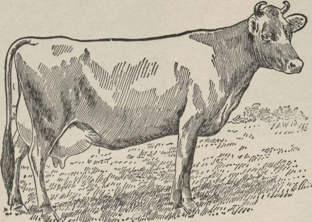 An illustration from Specimens of electrotype cuts, issued by Barnhart Bros. & Spindler, 1900, leaf 106