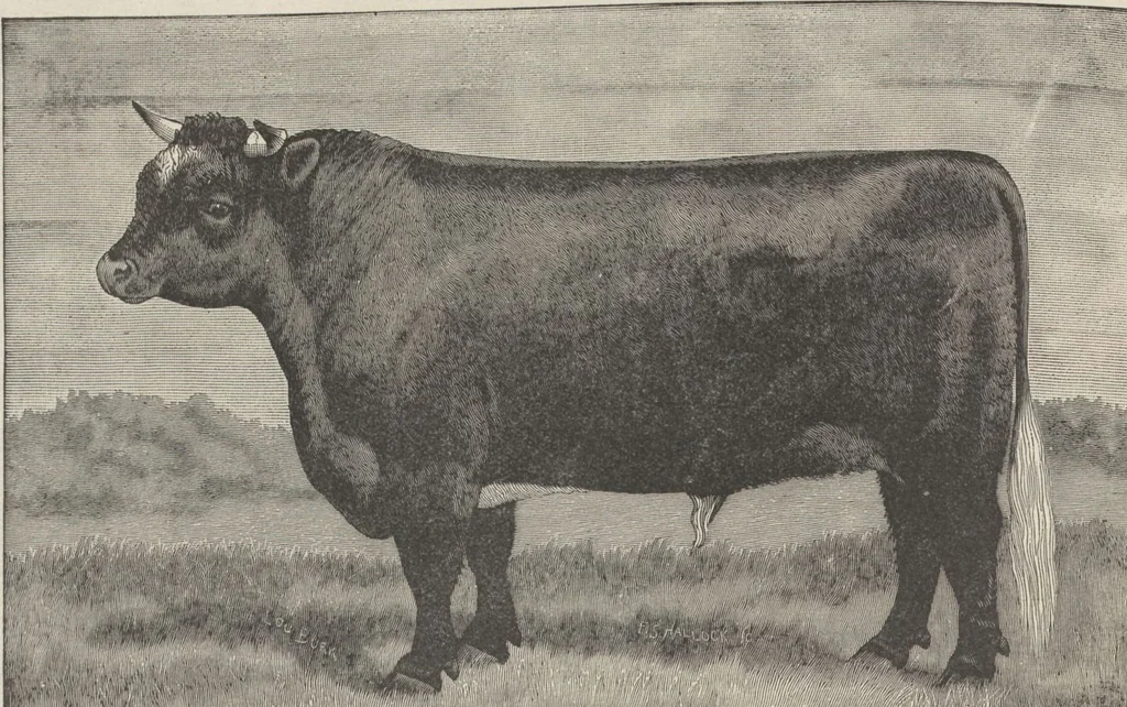 An illustration from Specimens of electrotype cuts, issued by Barnhart Bros. & Spindler, 1900, leaf 106