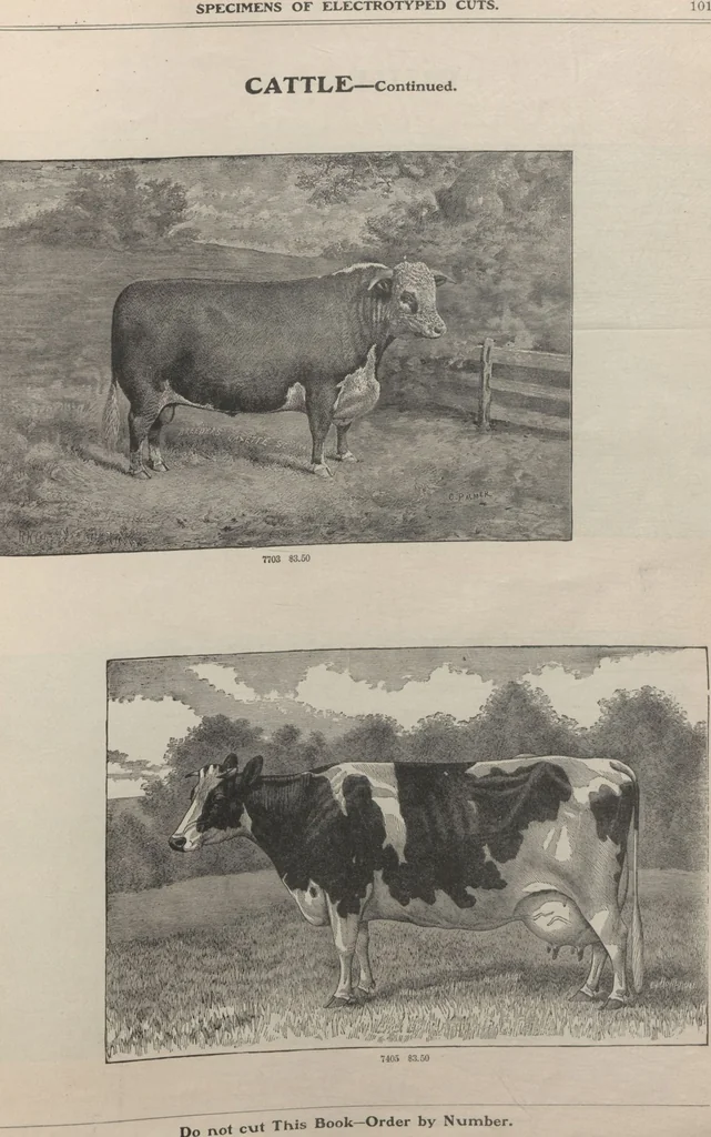 An illustration from Specimens of electrotype cuts, issued by Barnhart Bros. & Spindler, 1900, leaf 107