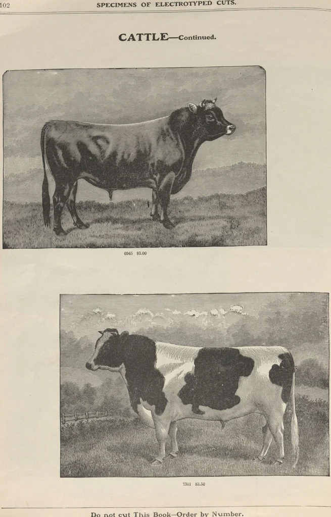 An illustration from Specimens of electrotype cuts, issued by Barnhart Bros. & Spindler, 1900, leaf 108