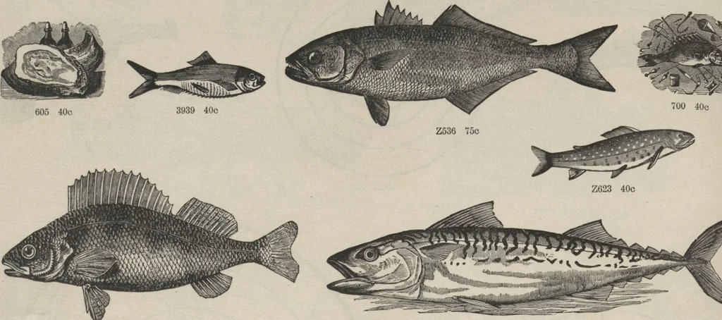 An illustration from Specimens of electrotype cuts, issued by Barnhart Bros. & Spindler, 1900, leaf 54
