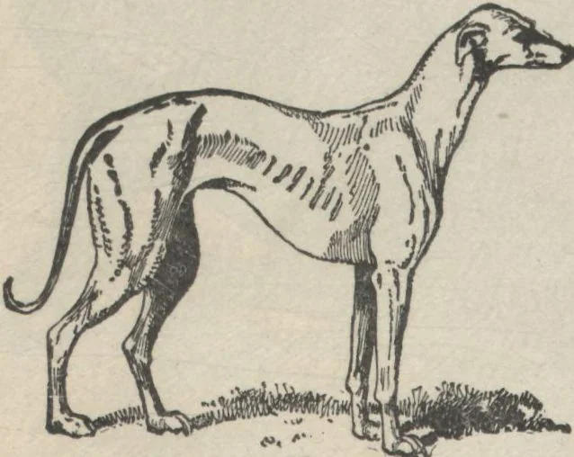 An illustration from Specimens of electrotype cuts, issued by Barnhart Bros. & Spindler, 1900, leaf 56