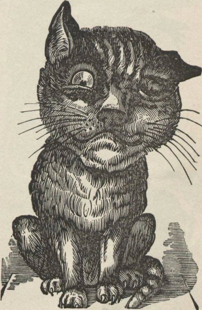 An illustration from Specimens of electrotype cuts, issued by Barnhart Bros. & Spindler, 1900, leaf 57