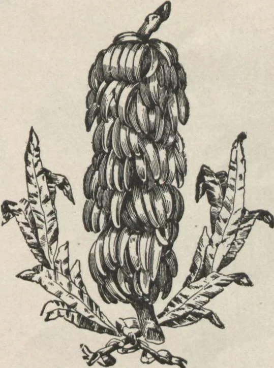 An illustration from Specimens of electrotype cuts, issued by Barnhart Bros. & Spindler, 1900, leaf 59