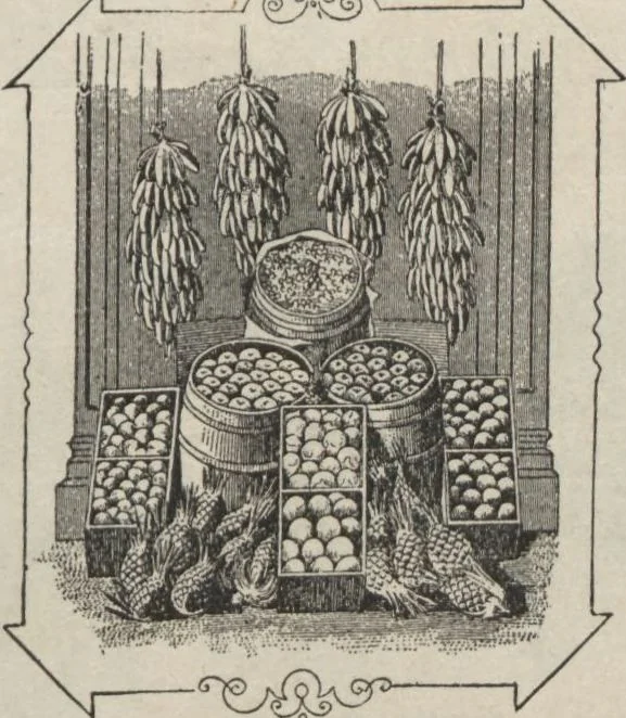 An illustration from Specimens of electrotype cuts, issued by Barnhart Bros. & Spindler, 1900, leaf 59