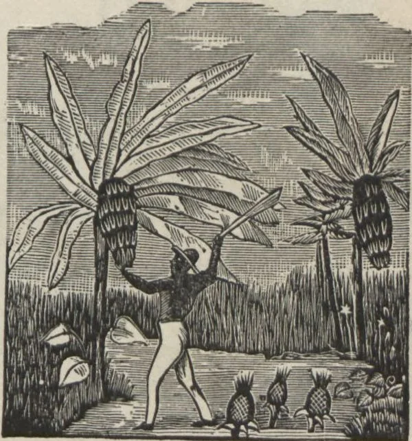 An illustration from Specimens of electrotype cuts, issued by Barnhart Bros. & Spindler, 1900, leaf 59