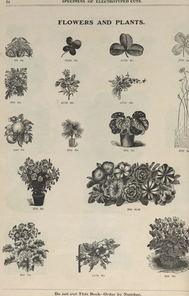 An illustration from Specimens of electrotype cuts, issued by Barnhart Bros. & Spindler, 1900, leaf 60