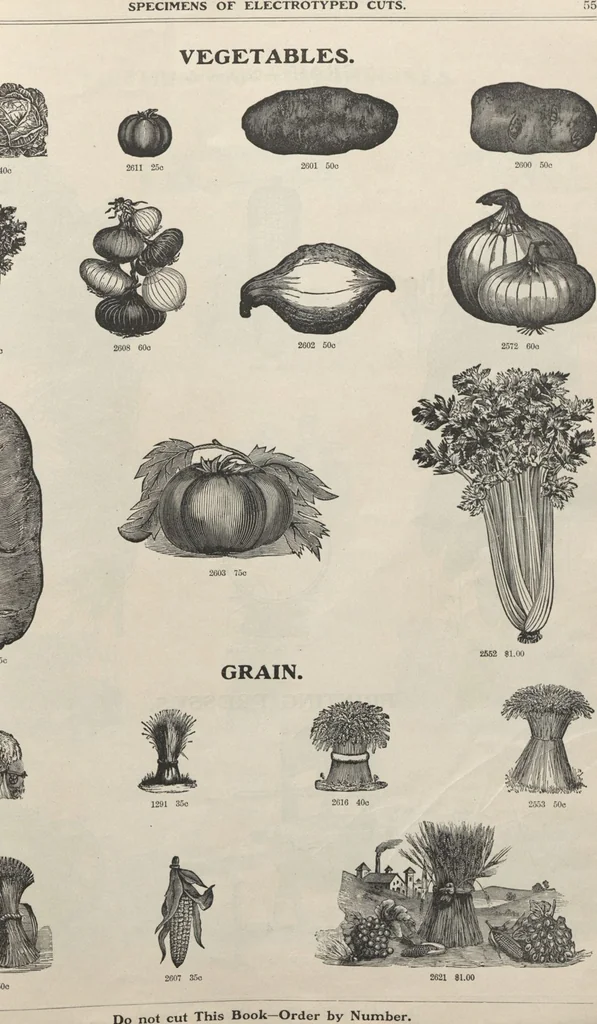 An illustration from Specimens of electrotype cuts, issued by Barnhart Bros. & Spindler, 1900, leaf 61