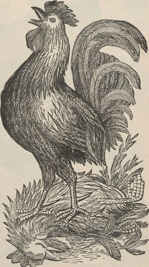 An illustration from Specimens of electrotype cuts, issued by Barnhart Bros. & Spindler, 1900, leaf 73