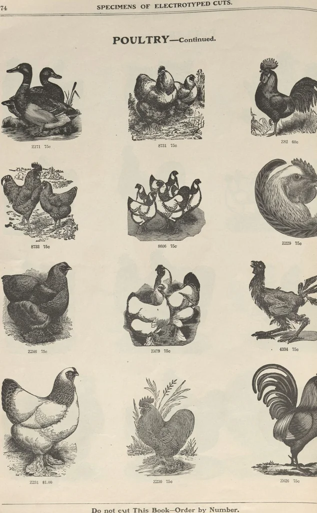 An illustration from Specimens of electrotype cuts, issued by Barnhart Bros. & Spindler, 1900, leaf 80