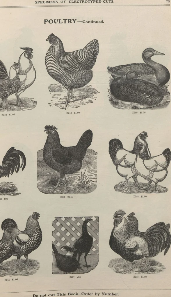An illustration from Specimens of electrotype cuts, issued by Barnhart Bros. & Spindler, 1900, leaf 81