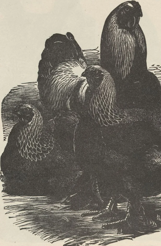 An illustration from Specimens of electrotype cuts, issued by Barnhart Bros. & Spindler, 1900, leaf 82