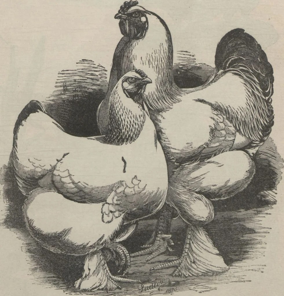 An illustration from Specimens of electrotype cuts, issued by Barnhart Bros. & Spindler, 1900, leaf 83