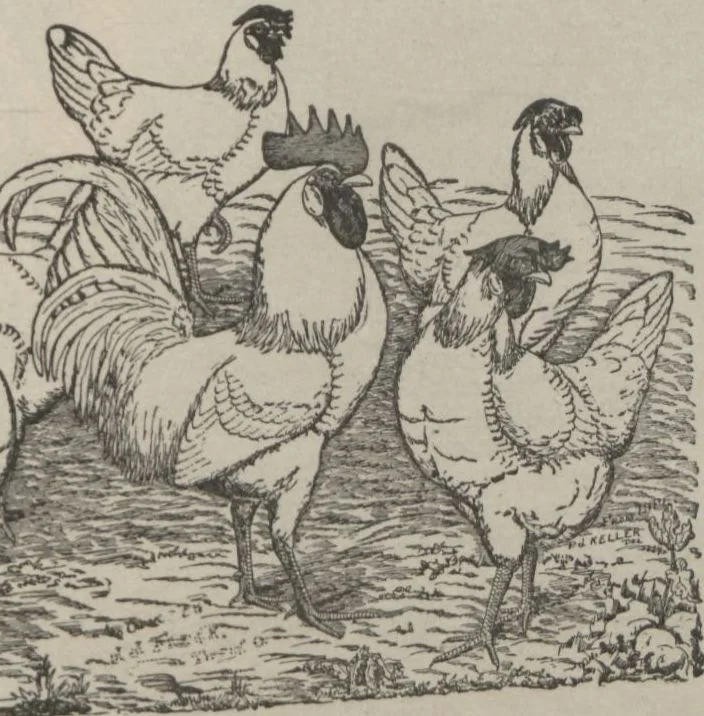 An illustration from Specimens of electrotype cuts, issued by Barnhart Bros. & Spindler, 1900, leaf 83