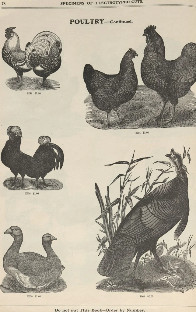 An illustration from Specimens of electrotype cuts, issued by Barnhart Bros. & Spindler, 1900, leaf 84
