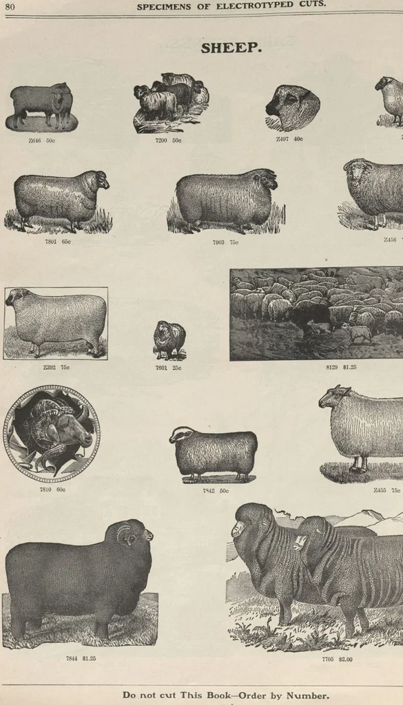 An illustration from Specimens of electrotype cuts, issued by Barnhart Bros. & Spindler, 1900, leaf 86