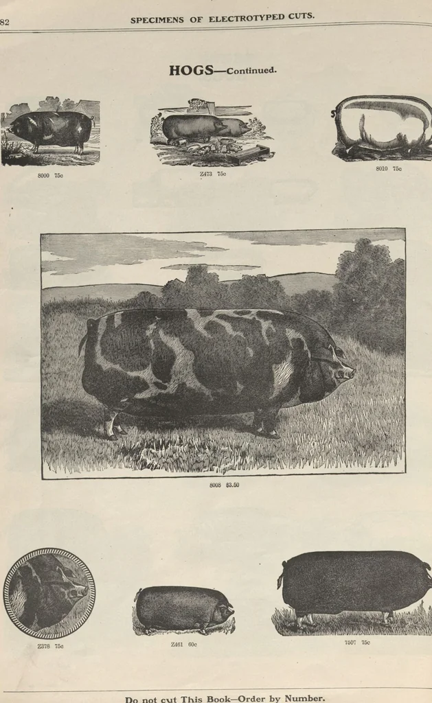 An illustration from Specimens of electrotype cuts, issued by Barnhart Bros. & Spindler, 1900, leaf 88