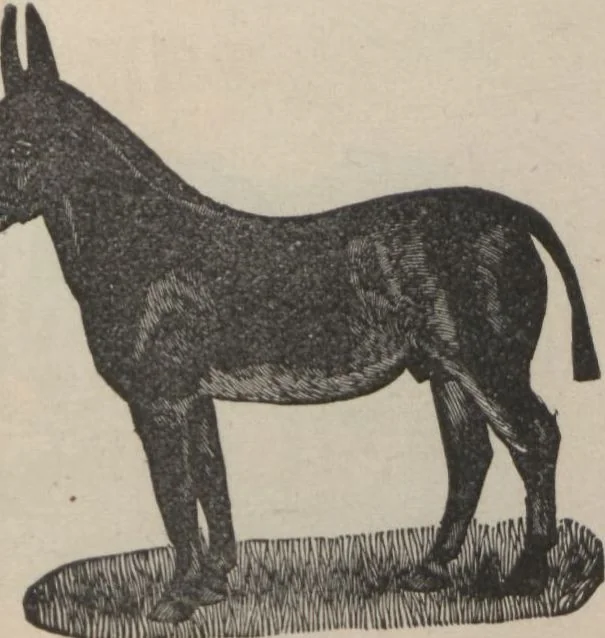An illustration from Specimens of electrotype cuts, issued by Barnhart Bros. & Spindler, 1900, leaf 89