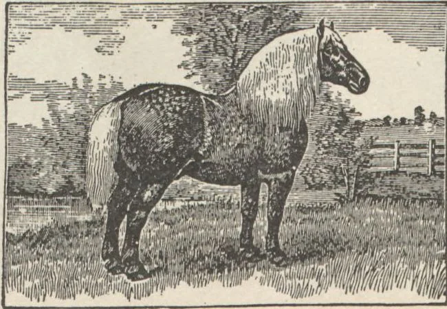 An illustration from Specimens of electrotype cuts, issued by Barnhart Bros. & Spindler, 1900, leaf 90