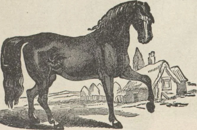 An illustration from Specimens of electrotype cuts, issued by Barnhart Bros. & Spindler, 1900, leaf 90