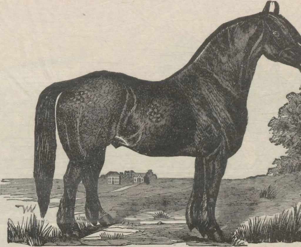 An illustration from Specimens of electrotype cuts, issued by Barnhart Bros. & Spindler, 1900, leaf 91