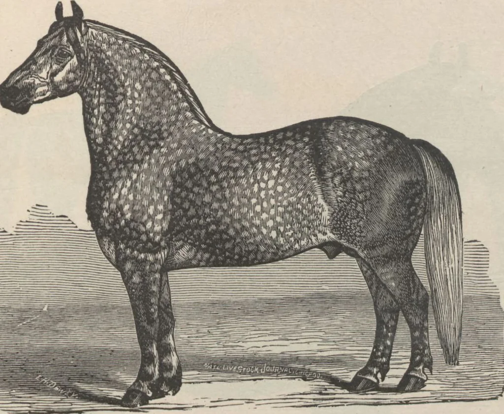 An illustration from Specimens of electrotype cuts, issued by Barnhart Bros. & Spindler, 1900, leaf 91