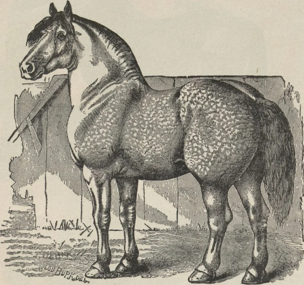 An illustration from Specimens of electrotype cuts, issued by Barnhart Bros. & Spindler, 1900, leaf 92