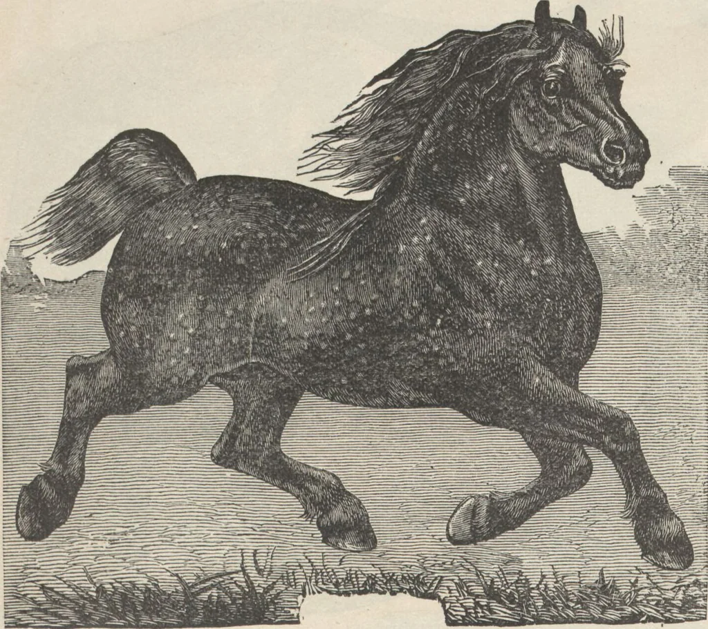 An illustration from Specimens of electrotype cuts, issued by Barnhart Bros. & Spindler, 1900, leaf 92