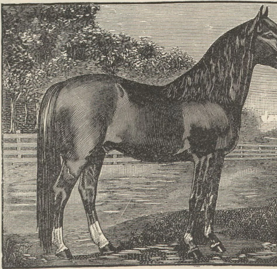 An illustration from Specimens of electrotype cuts, issued by Barnhart Bros. & Spindler, 1900, leaf 92