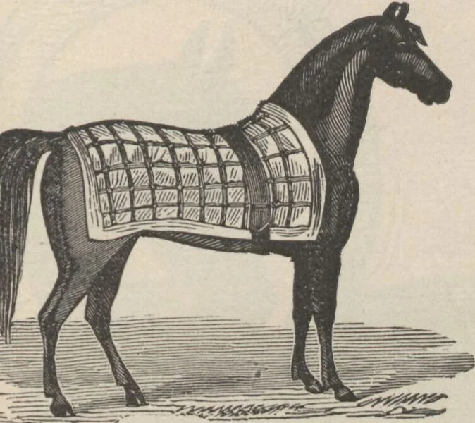 An illustration from Specimens of electrotype cuts, issued by Barnhart Bros. & Spindler, 1900, leaf 93