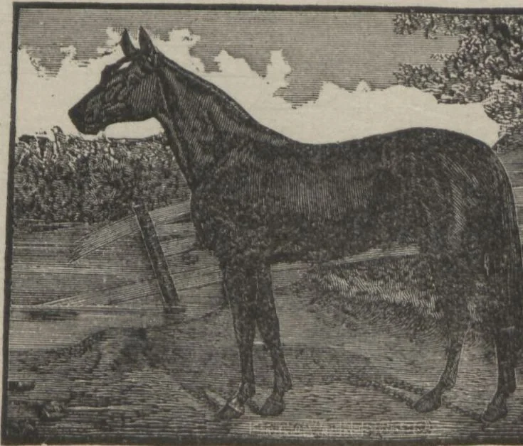 An illustration from Specimens of electrotype cuts, issued by Barnhart Bros. & Spindler, 1900, leaf 93