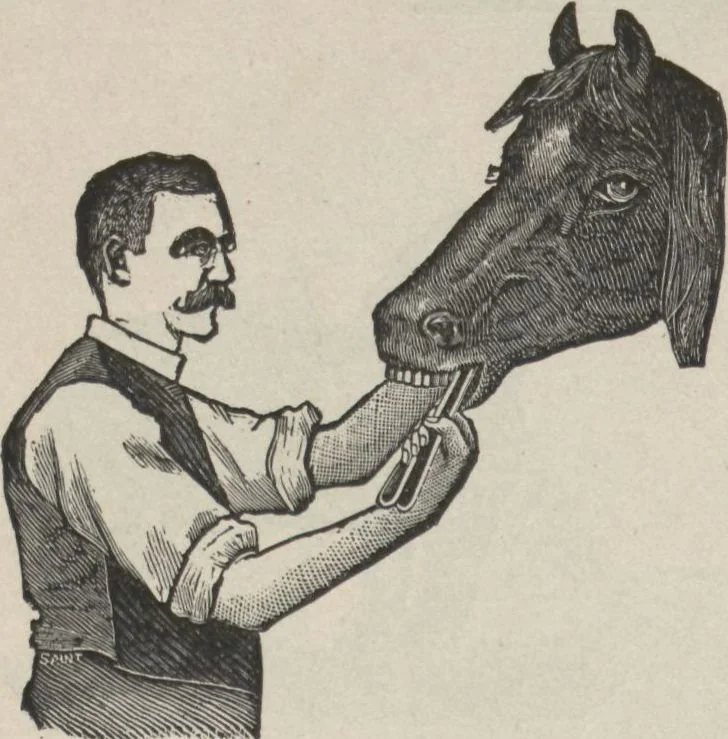 An illustration from Specimens of electrotype cuts, issued by Barnhart Bros. & Spindler, 1900, leaf 94