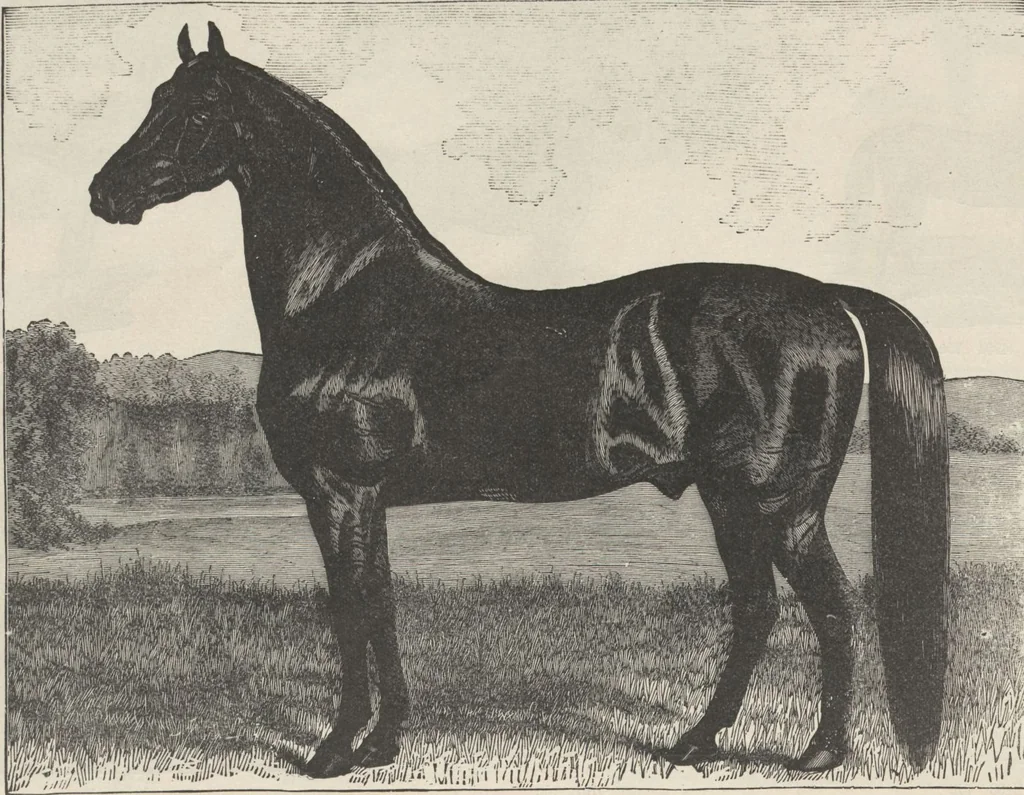 An illustration from Specimens of electrotype cuts, issued by Barnhart Bros. & Spindler, 1900, leaf 94
