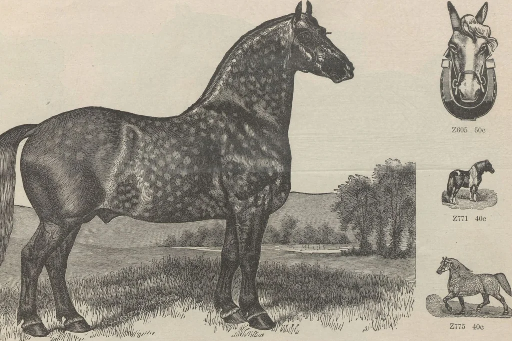 An illustration from Specimens of electrotype cuts, issued by Barnhart Bros. & Spindler, 1900, leaf 95