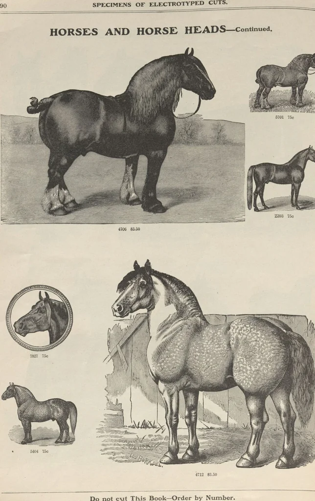 An illustration from Specimens of electrotype cuts, issued by Barnhart Bros. & Spindler, 1900, leaf 96