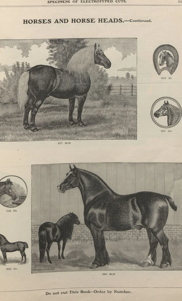 An illustration from Specimens of electrotype cuts, issued by Barnhart Bros. & Spindler, 1900, leaf 97