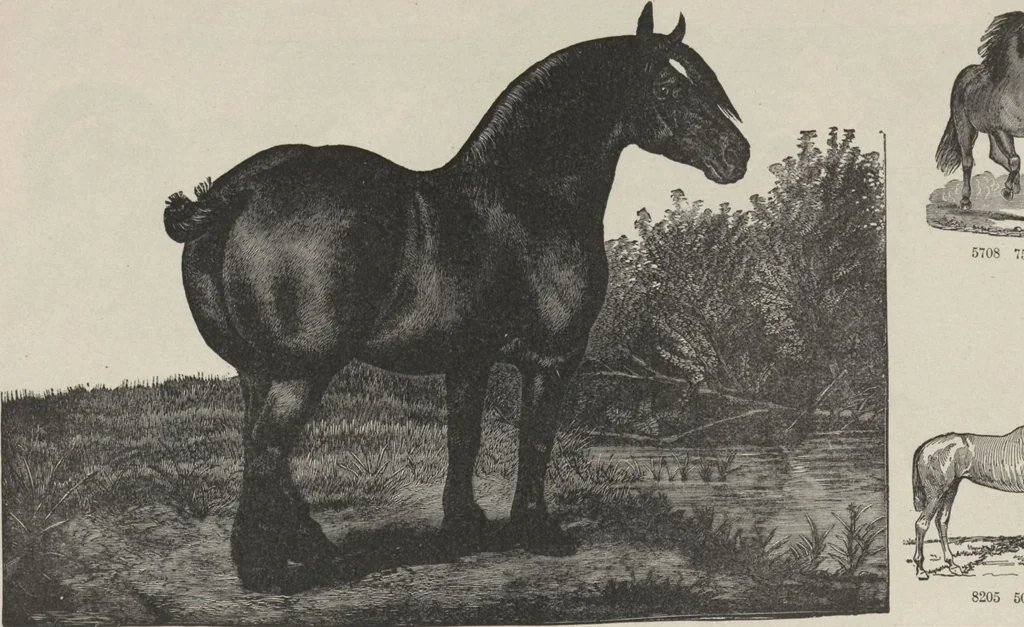 An illustration from Specimens of electrotype cuts, issued by Barnhart Bros. & Spindler, 1900, leaf 98