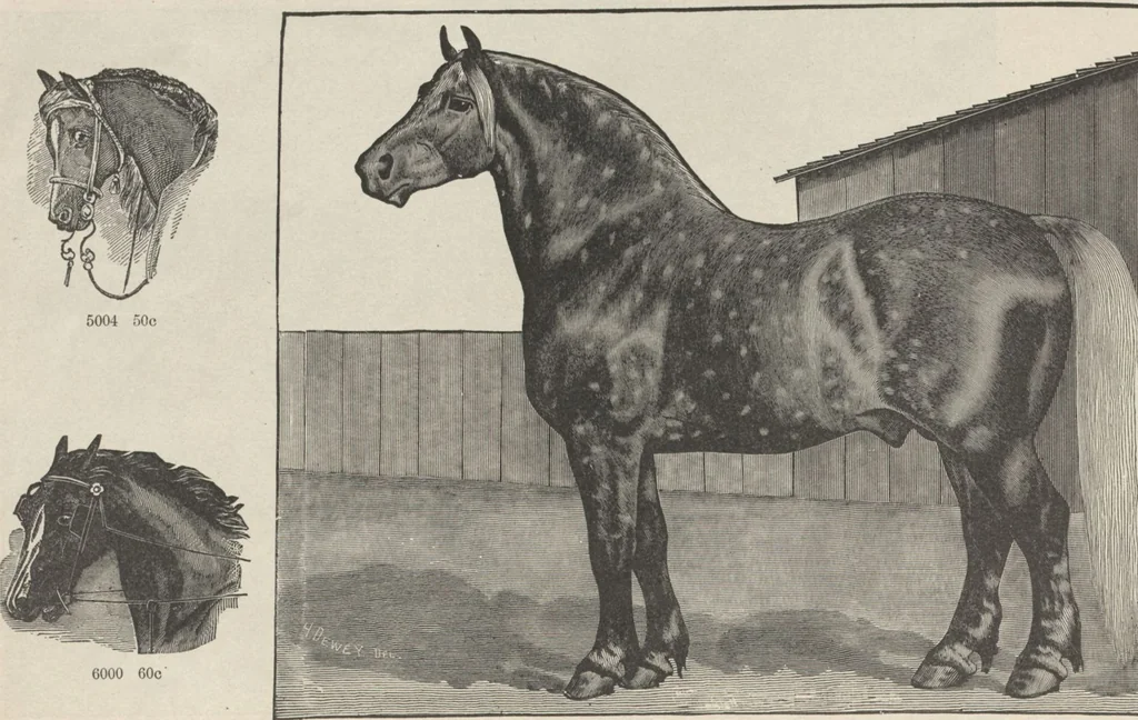 An illustration from Specimens of electrotype cuts, issued by Barnhart Bros. & Spindler, 1900, leaf 98
