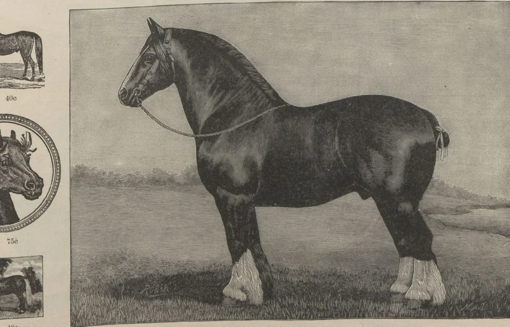 An illustration from Specimens of electrotype cuts, issued by Barnhart Bros. & Spindler, 1900, leaf 99