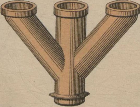 An illustration from Union des tuileries du centre, 1903, leaf 317