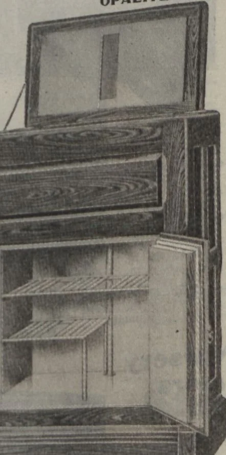 An illustration from The Gimbel book : Paris, London, and American styles, 1910, leaf 169