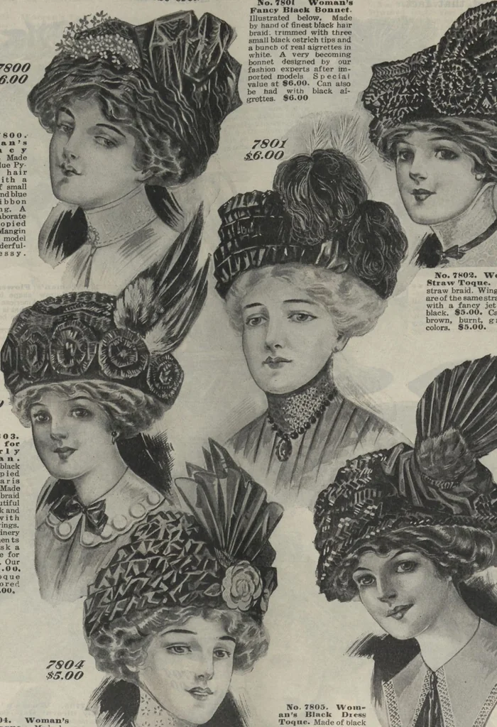 An illustration from The Gimbel book : Paris, London, and American styles, 1910, leaf 66