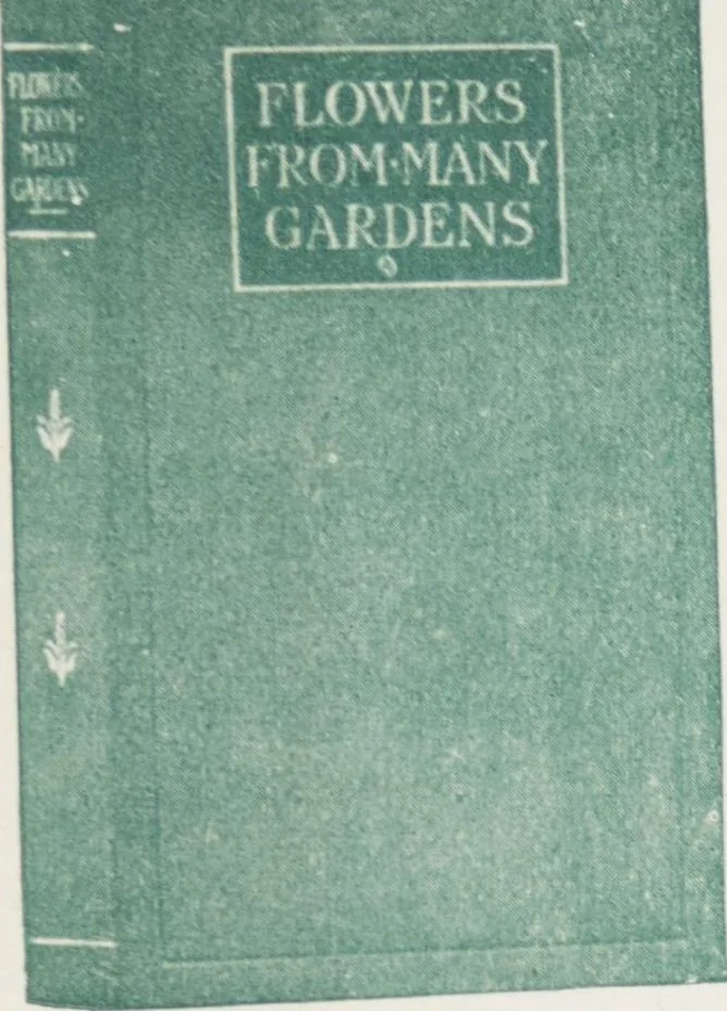 An illustration from Boots leather goods, fancy, silver, toilet, and bound book depts. Season 1910-11, 1910, leaf 221