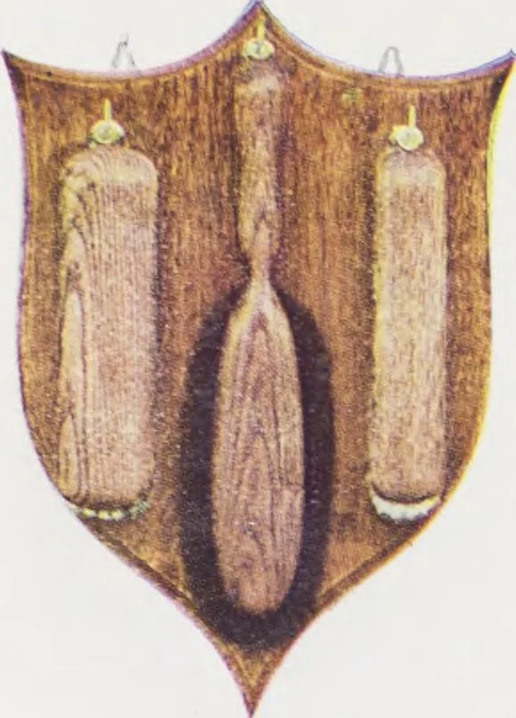 An illustration from Boots leather goods, fancy, silver, toilet, and bound book depts. Season 1910-11, 1910, leaf 47