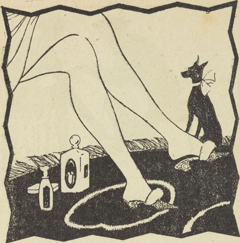 An illustration from Le nouveau bréviaire de la beauté / G. Clarks, 1920, leaf 70