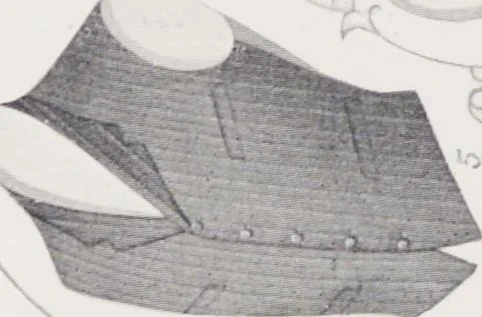 An illustration from W. J. Mahon's catalogs for men's fashions (Spring & Summer, 1906), 1906, leaf 10