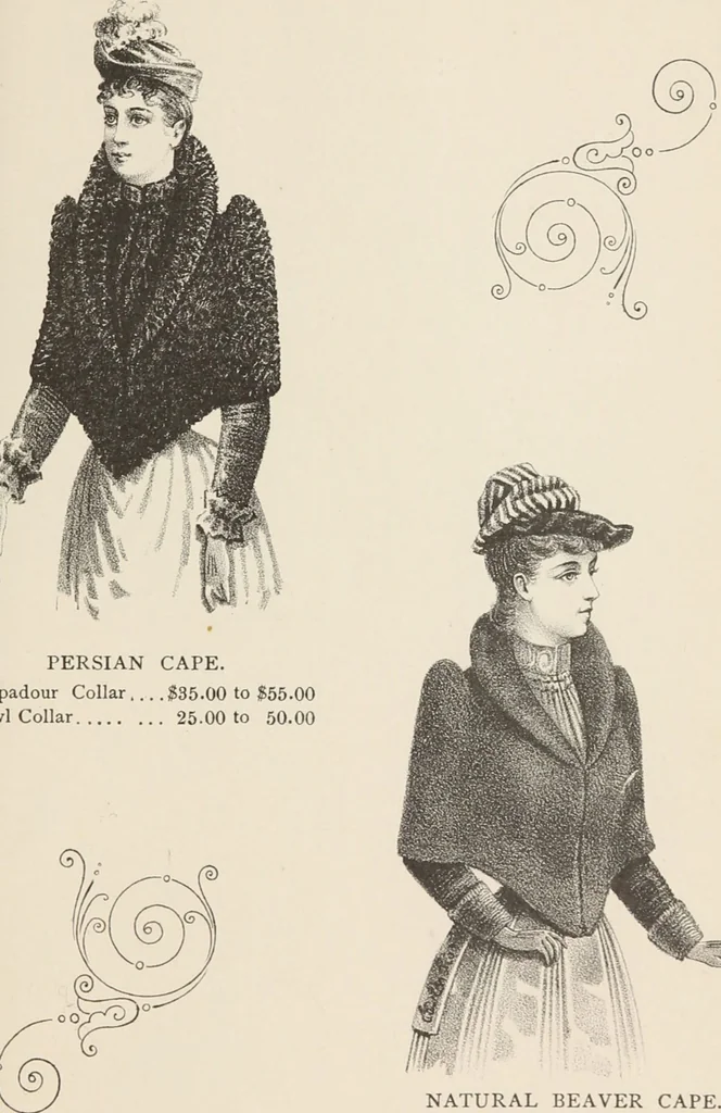 An illustration from Lamson & Hubbard, manufacturers of ladies' furs of every description : wholesale and retail, 1890, leaf 17