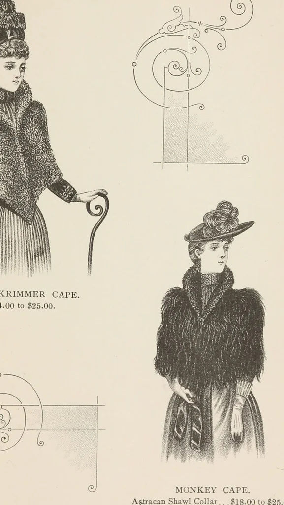An illustration from Lamson & Hubbard, manufacturers of ladies' furs of every description : wholesale and retail, 1890, leaf 19