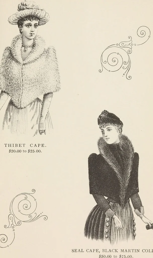 An illustration from Lamson & Hubbard, manufacturers of ladies' furs of every description : wholesale and retail, 1890, leaf 25